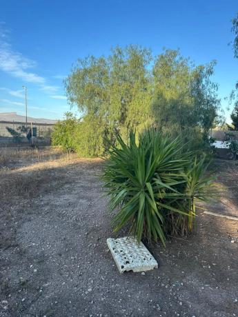 Terreno en calle Fuensanta, 10