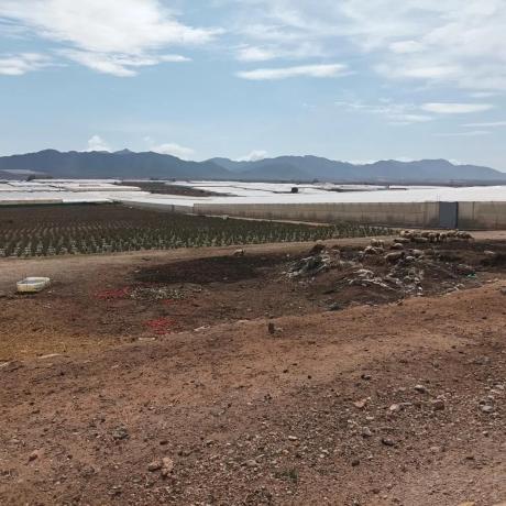 Terreno en Barranquete s/n