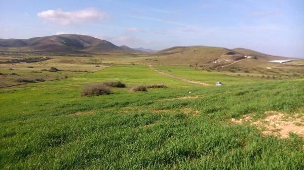 Terreno en via sin nombre s/n