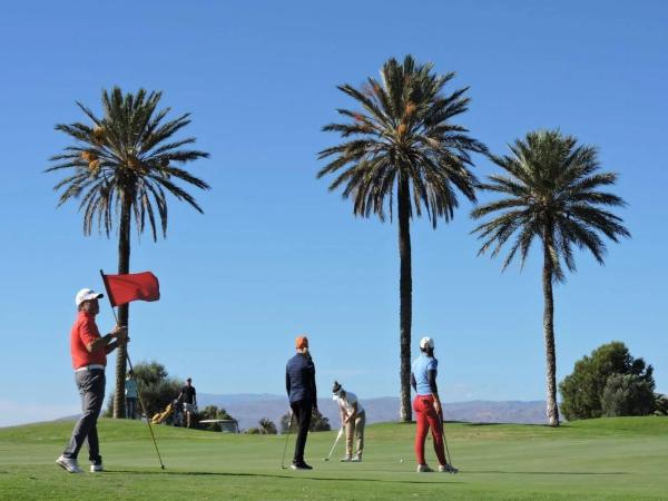 Terreno en calle Consuelo, 15