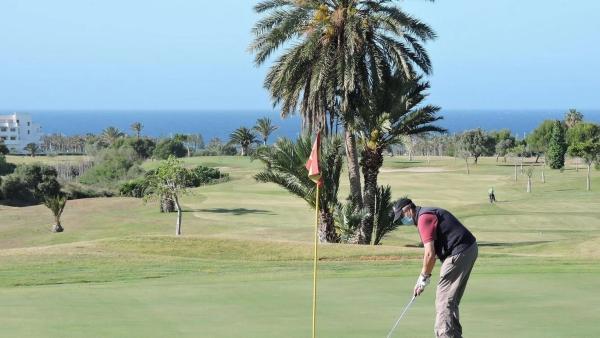 Terreno en calle Consuelo, 15