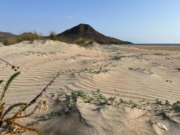 Terreno en calle María Gómez s/n