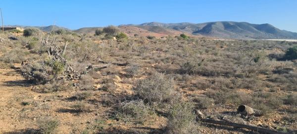 Terreno en El Hornillo s/n CarreteraLosGimenez