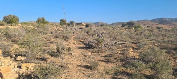 Terreno en El Hornillo s/n CarreteraLosGimenez
