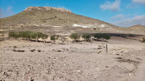 Terreno en carretera De Aguamarga