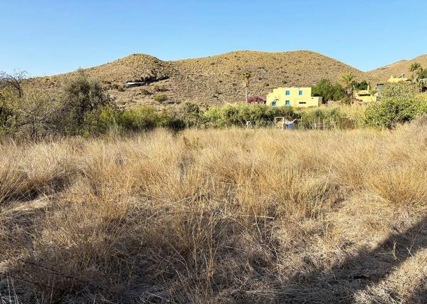Terreno en calle Diseminado las Negras