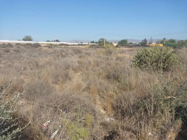 Terreno en calle Cortijo del Jabonero s/n sn