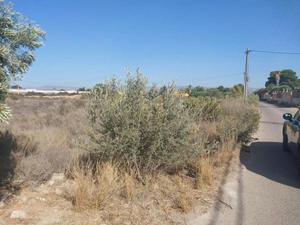 Terreno en calle Cortijo del Jabonero s/n sn