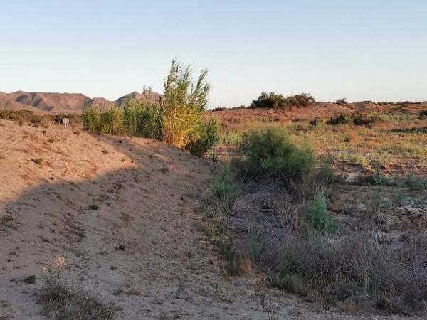 Terreno en Pista Pujaire - Cabo de Gata