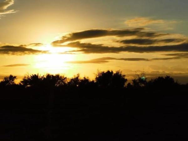 Terreno en Pista Pujaire - Cabo de Gata
