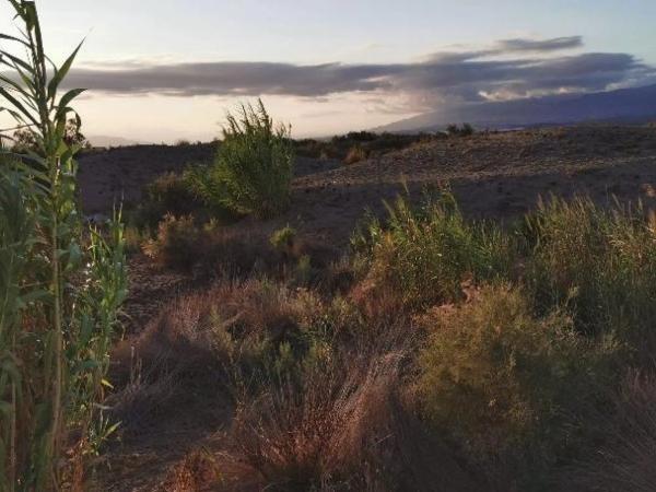 Terreno en Pista Pujaire - Cabo de Gata