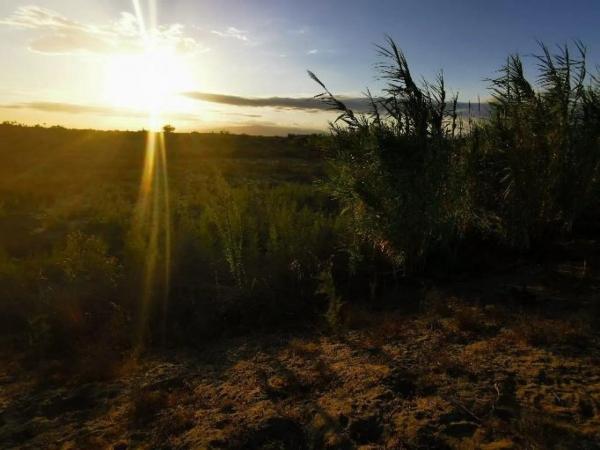 Terreno en Pista Pujaire - Cabo de Gata