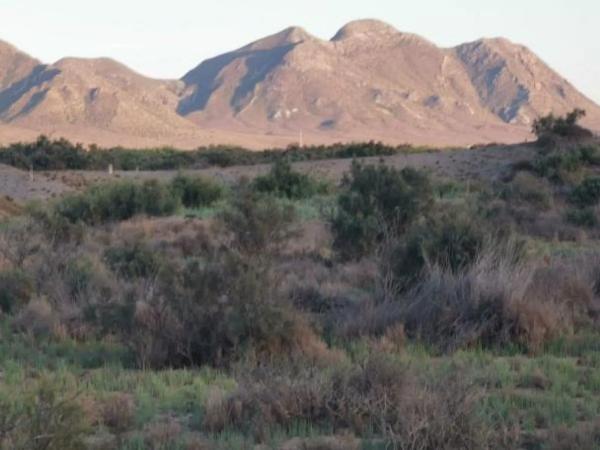 Terreno en Pista Pujaire - Cabo de Gata
