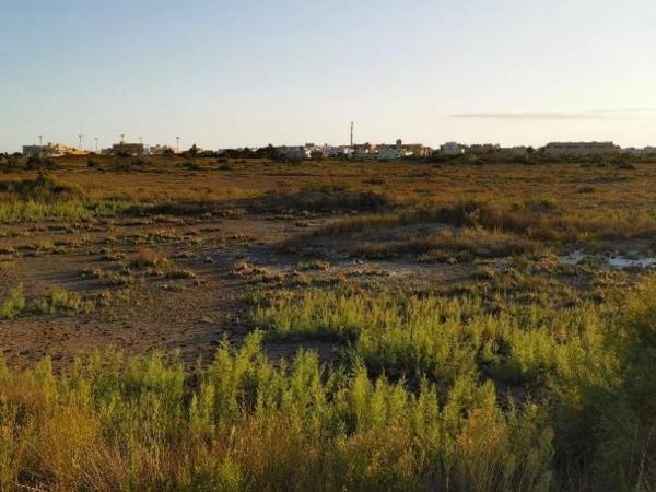 Terreno en Pista Pujaire - Cabo de Gata