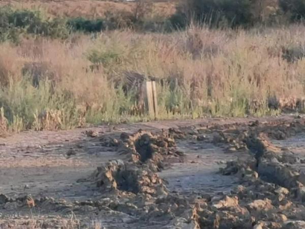 Terreno en Pista Pujaire - Cabo de Gata