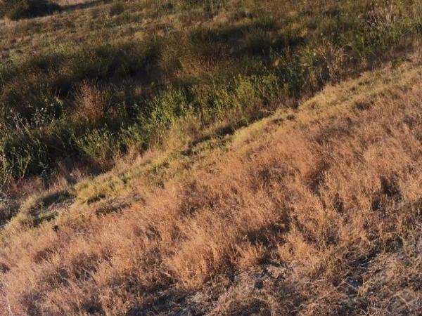 Terreno en Pista Pujaire - Cabo de Gata