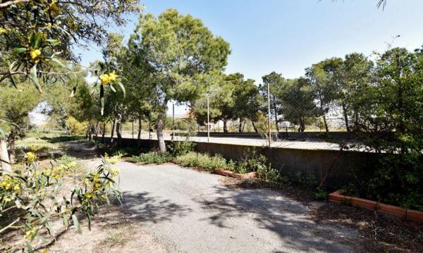 Terreno en calle Fuensanta s/n