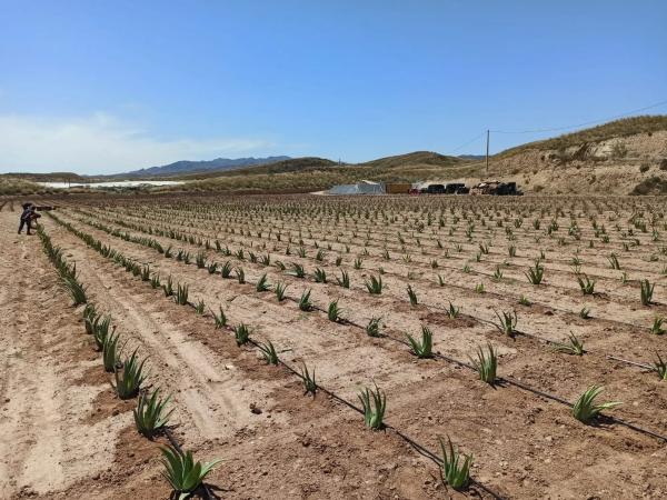 Terreno en Paraje Los Matarines s/n sn
