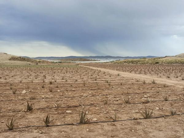 Terreno en Paraje Los Matarines s/n sn