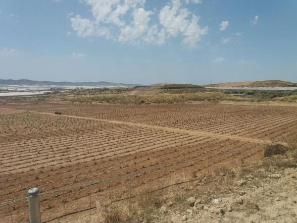 Terreno en Paraje Los Matarines s/n sn