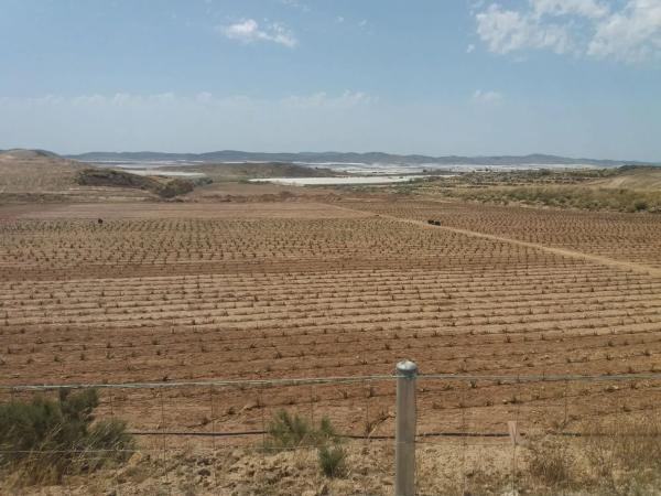 Terreno en Paraje Los Matarines s/n sn