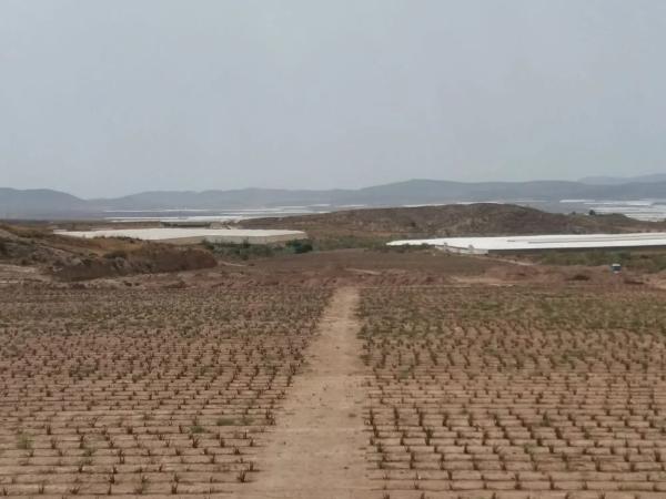 Terreno en Paraje Los Matarines s/n sn