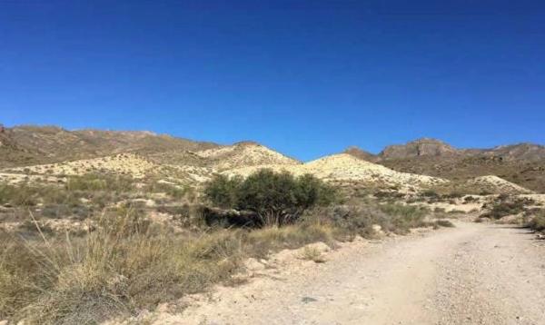 Terreno en camino la Matanza