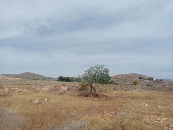 Terreno en Al-5106, km 4.5, s/n