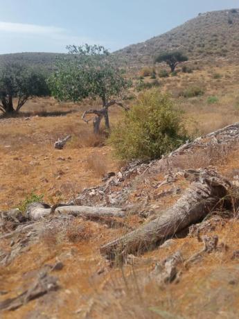 Terreno en Al-5106, km 4.5, s/n