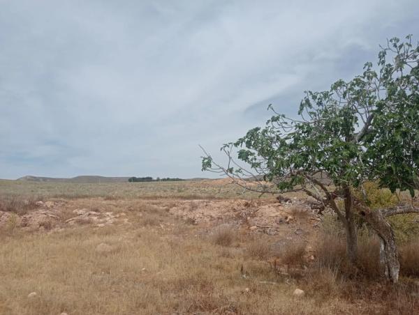 Terreno en Al-5106, km 4.5, s/n