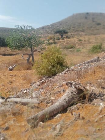 Terreno en Al-5106, km 4.5, s/n