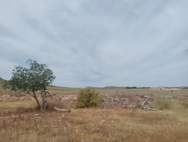 Terreno en Al-5106, km 4.5, s/n