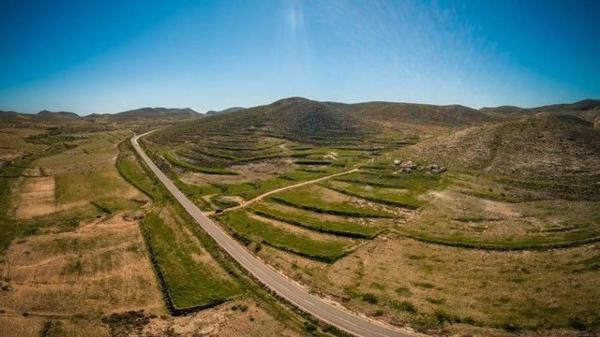 Terreno en carretera de las Negras s/n Sn