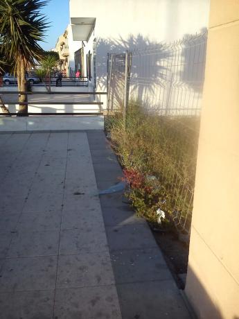 Terreno en avenida Constitución, 52