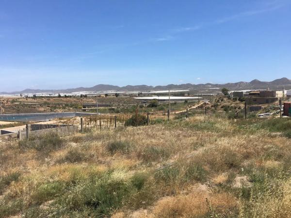 Terreno en calle Real del Viso s/n