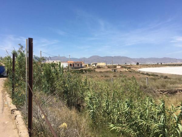 Terreno en calle Real del Viso s/n