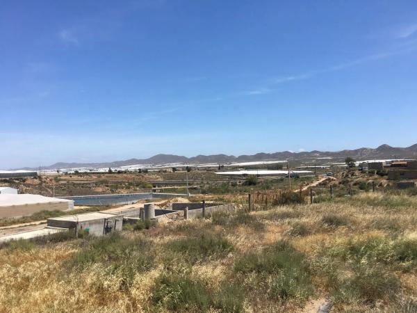 Terreno en calle Real del Viso s/n