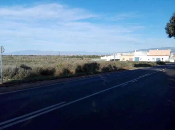 Terreno en Diseminado Cortijo Noria