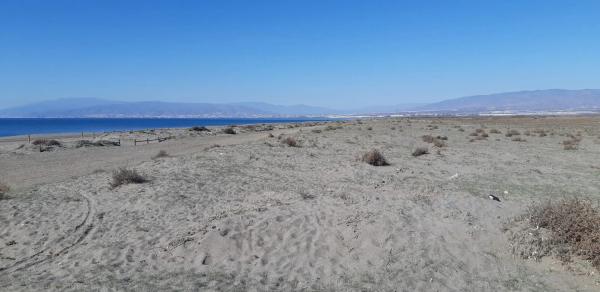 Terreno en paseo Maritimo, 100