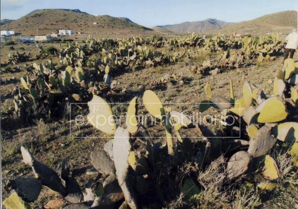 Terreno en calle casillas s/n