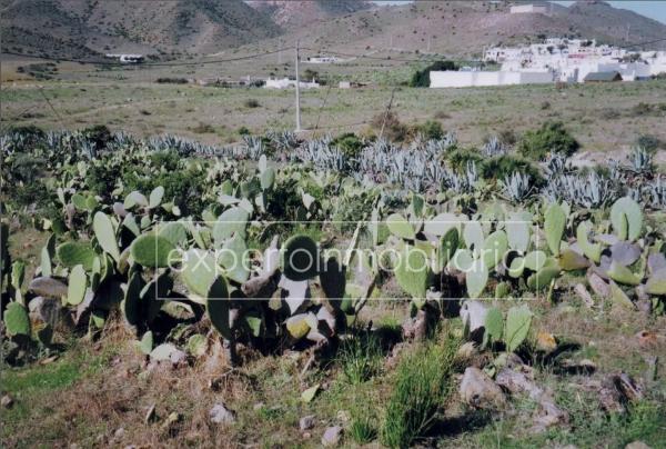 Terreno en calle casillas s/n