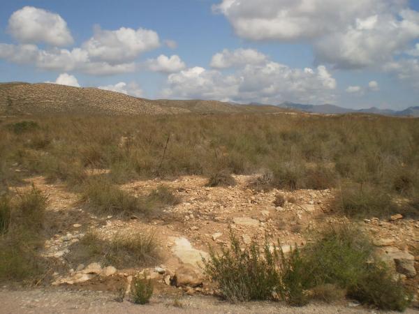 Terreno en n-341, km 9