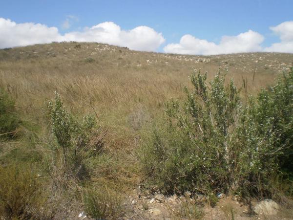 Terreno en n-341, km 9