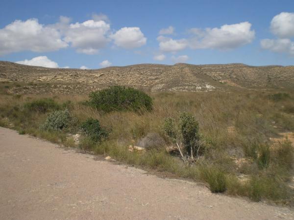 Terreno en n-341, km 9