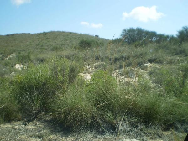 Terreno en n-341, km 9