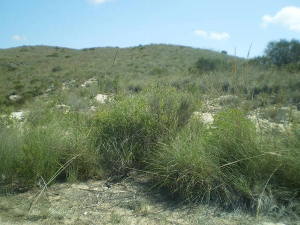 Terreno en n-341, km 9