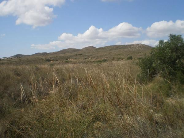 Terreno en n-341, km 9