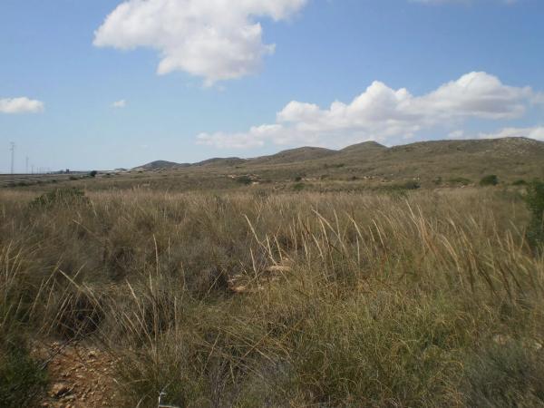 Terreno en n-341, km 9