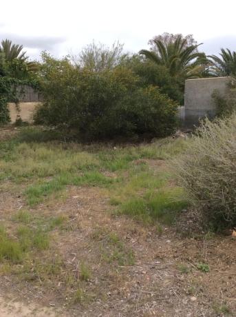 Terreno en calle las casillas, 24