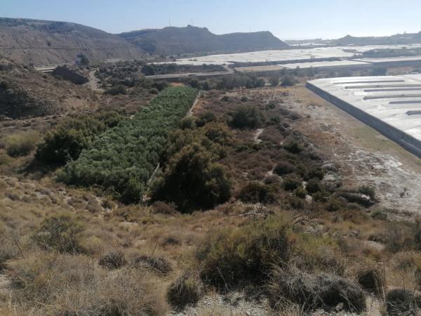 Terreno en canales s/n